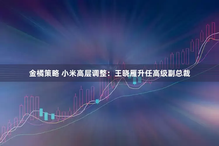 金橘策略 小米高层调整：王晓雁升任高级副总裁