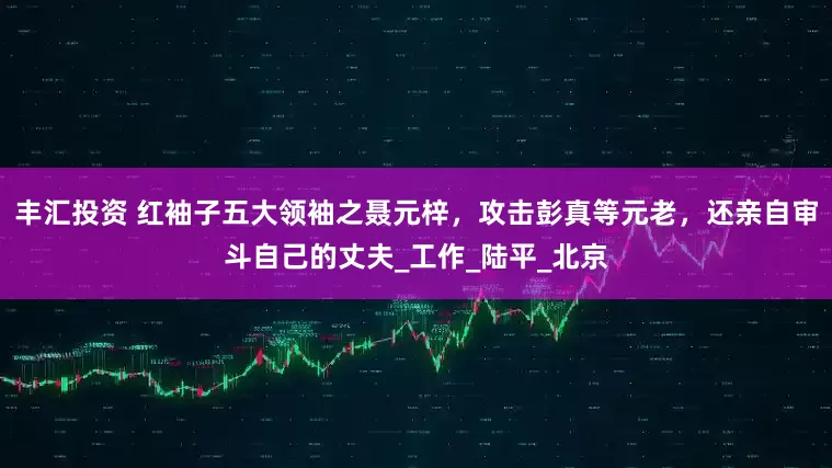 丰汇投资 红袖子五大领袖之聂元梓，攻击彭真等元老，还亲自审斗自己的丈夫_工作_陆平_北京
