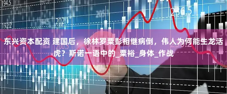东兴资本配资 建国后，徐林罗粟彭相继病倒，伟人为何能生龙活虎？斯诺一语中的_粟裕_身体_作战
