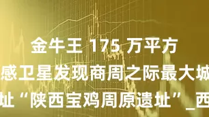 金牛王 175 万平方米，我国遥感卫星发现商周之际最大城址“陕西宝鸡周原遗址”_西周_考古_历史