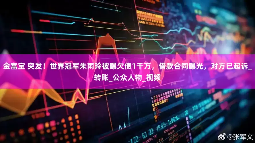 金富宝 突发！世界冠军朱雨玲被曝欠债1千万，借款合同曝光，对方已起诉_转账_公众人物_视频