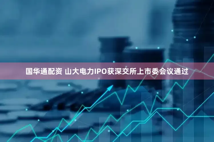 国华通配资 山大电力IPO获深交所上市委会议通过