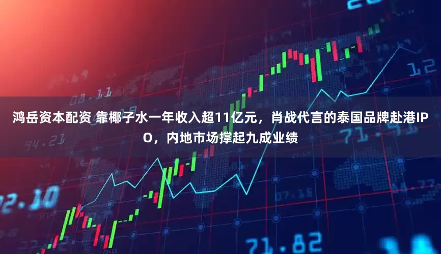 鸿岳资本配资 靠椰子水一年收入超11亿元，肖战代言的泰国品牌赴港IPO，内地市场撑起九成业绩